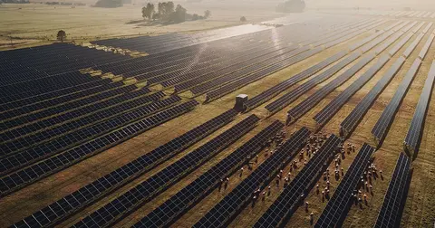 Svea Solar och Arla i rekordstort energiköpsavtal