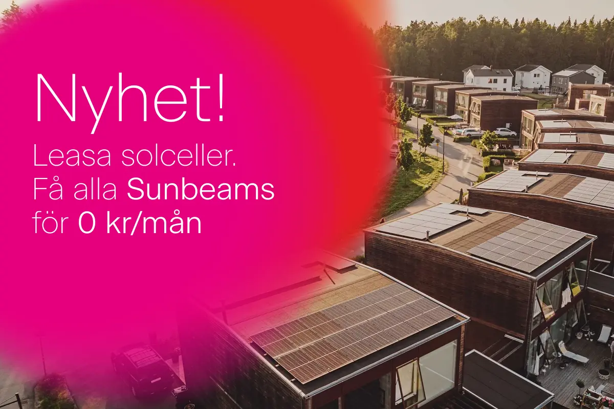 Kampanjbild. Sunbeams