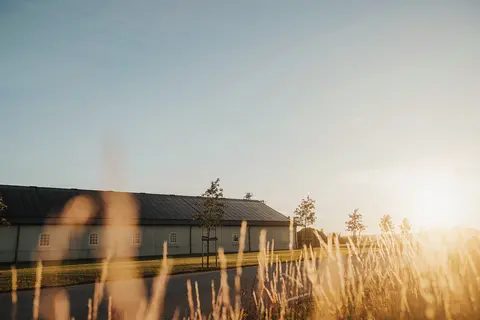 Solceller för jordbruksfastighet